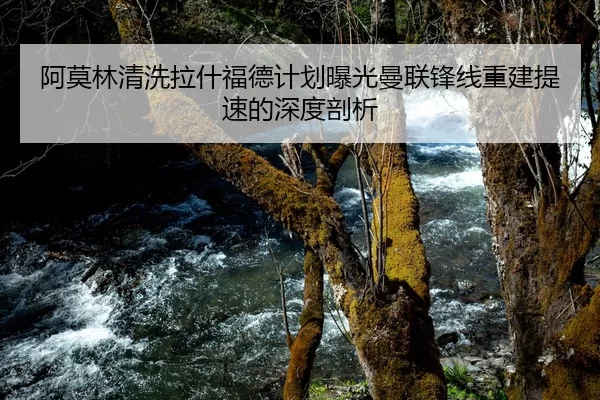 阿莫林清洗拉什福德计划曝光曼联锋线重建提速的深度剖析