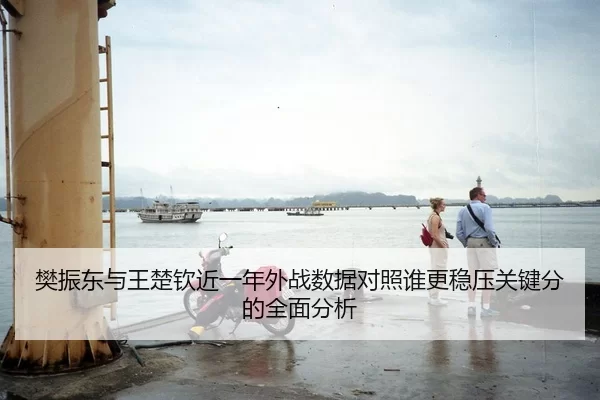 樊振东与王楚钦近一年外战数据对照谁更稳压关键分的全面分析
