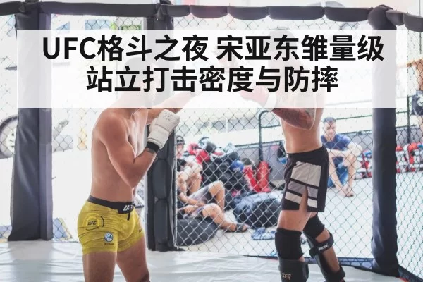 UFC格斗之夜 宋亚东雏量级站立打击密度与防摔